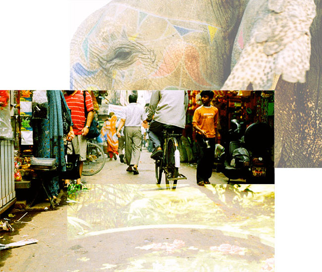 Jaïpur - city - elephant